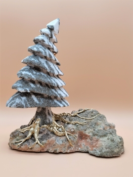 Binntree auf Rhyolith